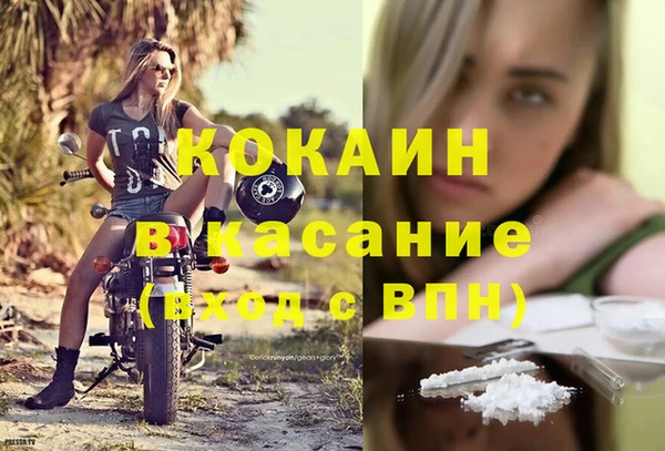 сатива Абинск