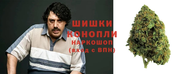 сатива Абинск