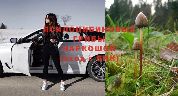 крисы Алексеевка