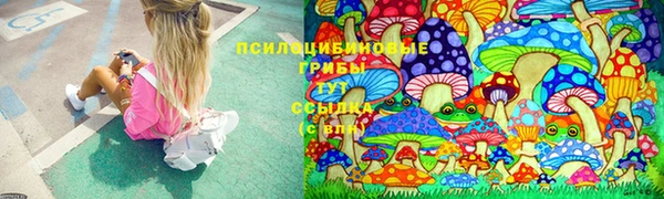 сатива Абинск