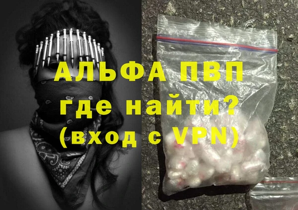 сатива Абинск