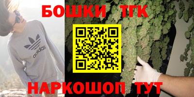 мдпв Можга