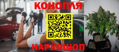 мдпв Можайск