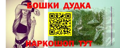 мдпв Можайск
