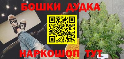 мдпв Можайск