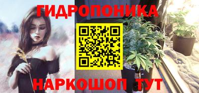 мдпв Можга