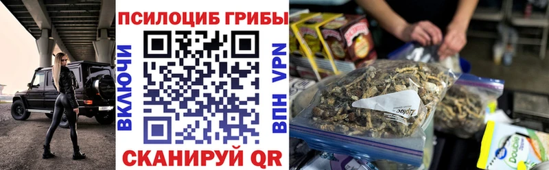 Псилоцибиновые грибы Cubensis Вичуга