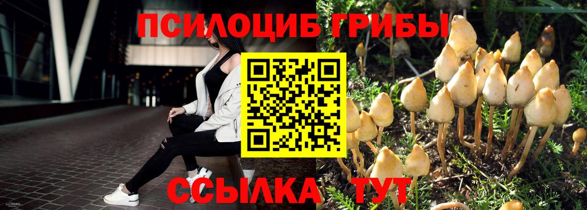 Псилоцибиновые грибы Cubensis  Галлюциногенные грибы MAGIC MUSHROOMS  Вход с VPN  наркота  Вичуга 